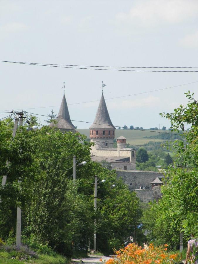 Вулиця Нагiрна Apartment Kamianets-Podilskyi Luaran gambar